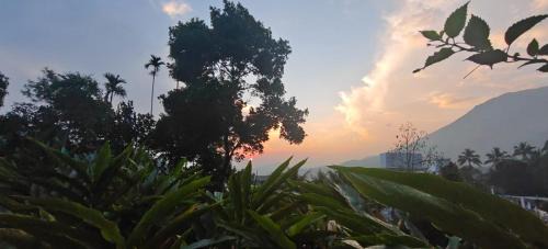 Anachal House | Nandana's Residency Munnar - A 4BHK Homestay for Indian Families