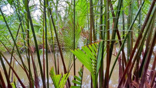 Kampot House | Nary Garden