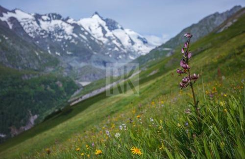 Heiligenblut Other | Nationalpark-Camping Großglockner
