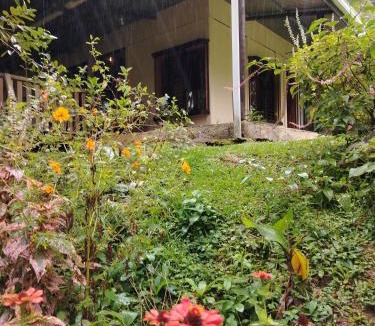 Pavones House | Natural paradise