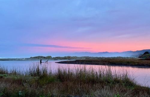 Salmon Creek House | Nature Lover's Paradise Just Steps to Beach and Dogs Are Welome