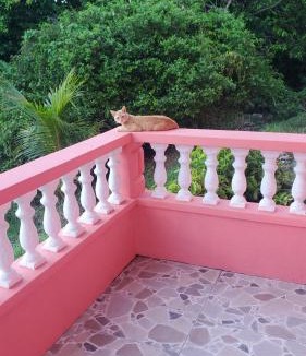 Marigot Bed & Breakfast | Nature's Haven