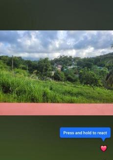 Marigot Bed & Breakfast | Nature's Haven
