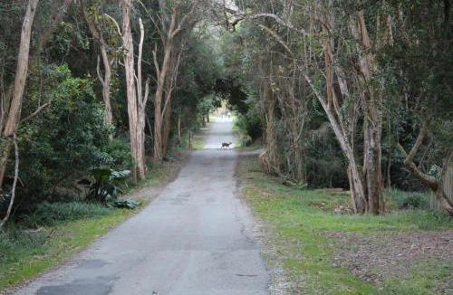 Nature's Valley House | Nature's Valley Health Retreat A Hide away in the Forest