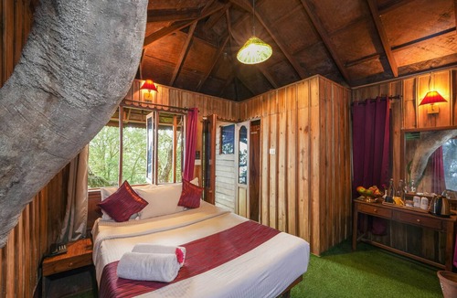 Devikolam Hotel | Nature Zone Jungle Resort