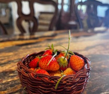 Cornville Bed & Breakfast | Natures Oasis Sanctuary B&B Organic Gardens