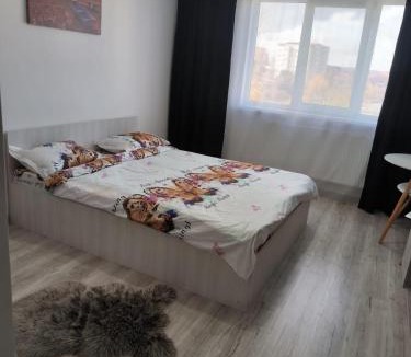 Pitesti Apartment | Natyll 28