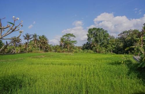 Ubud Villa | Nayaka Living Ubud