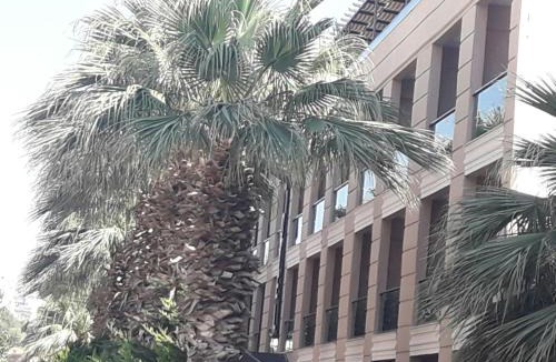 Altinkum Hotel | Nazar Hotel