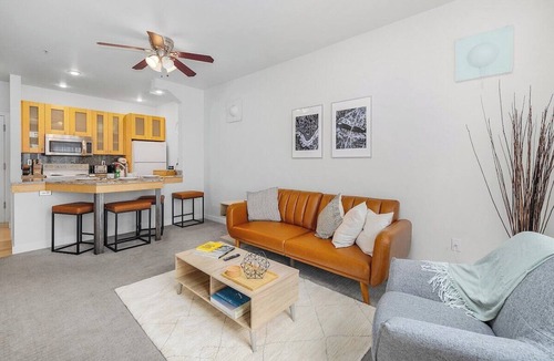 Belltown Apartment | Needle's Edge - 99 Walkscore!