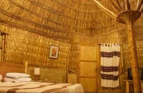 Giyon Cabin | Negash Resort