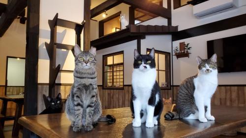 Old Town House | NEKO no TSUKI