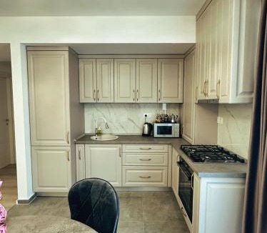 Calea Sever Bocu Apartment | NEO Sase - Denya Forest -near Amazonia - private parking