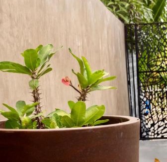 Llanos Tuna Apartment | Nest Boqueron