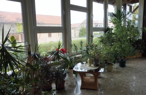 Radewege Apartment | Nette Wohnung mit Garten, Grill und Pool by Interhome