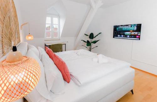 Straubing Apartment | NEU I Alte Post- Historisches Loft mit Dachterrasse I Zentrumsnah