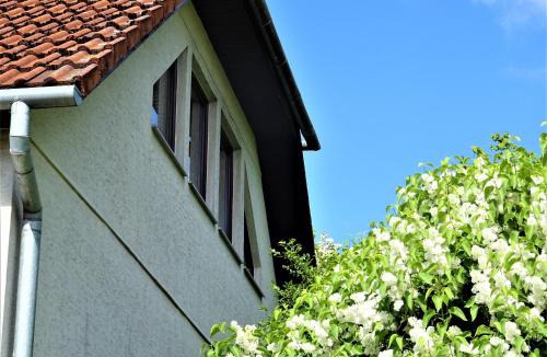 Broda Apartment | Neubrandenburg-Wasser,Natur,Zentrum,Ladestation für E-Autos