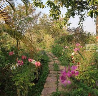 Sa Dec Bed & Breakfast | Neverland de Papillons