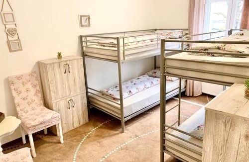 Reinickendorf Hostel | New Hostel Berlin Mitte FREE SNACK hot tea and coffee