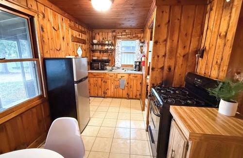 Mason County Cabin | New listing! Rustic 6-cabin resort on Long Lake with a beach and waterslide