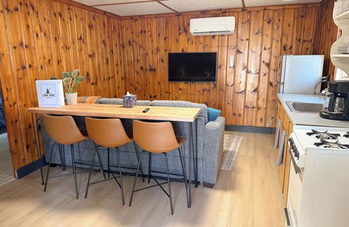 Mason County Cabin | New listing! Rustic 6-cabin resort on Long Lake with a beach and waterslide