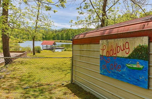 Morganton House | NEW LISTING ! RUSTIC MEADOW AT LADYBUG LAKE