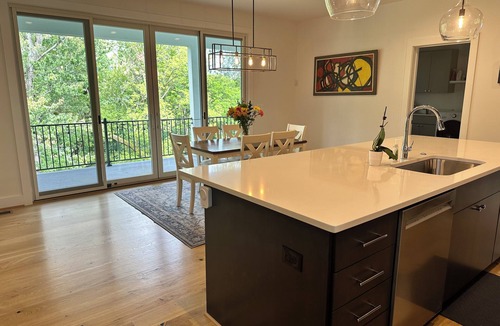 Ridge St. House | New Luxury Modern Farmhouse, Downtown C'Ville