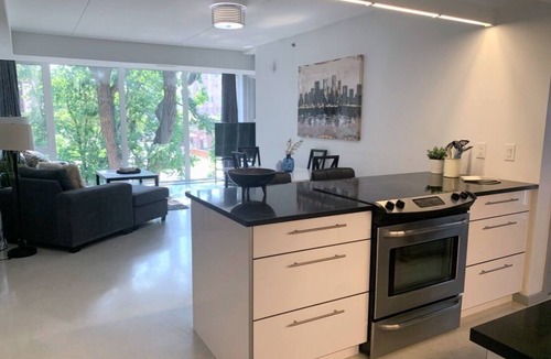 Winnipeg Condo | NEW ! MODERN 1500 SF 2 BR 2.5 BA -ULTRA LUXURIOUS CONDO -OSBORNE VILLAGE !