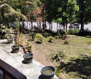Bohorok Apartment | New orchid