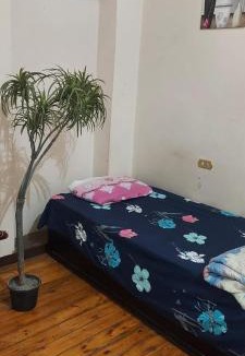 Downtown Cairo Hostel | New Safari Hostel