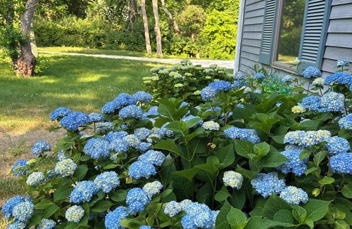 Eastham House | NEW! Spacious Eastham Retreat, 3BD/2BA, Bike Path, Dog-Friendly, Fenced Yard