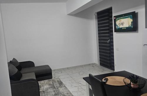 Ramnicu Valcea Apartment | New studio