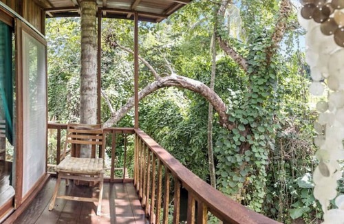 Nyuh Kuning Cabin | NEW: TREEHOUSE with private pool near YOGABARN ❤
