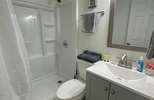 Rochester Apartment | Newly remodeled bright studio