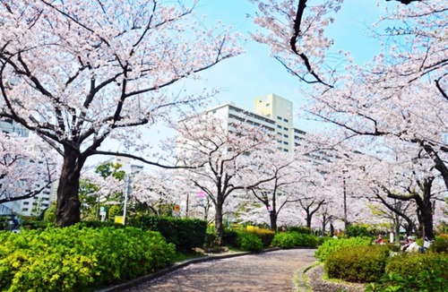 Itabashi Apartment | Newly Renovated 2025 秋リフォーム済 RC205