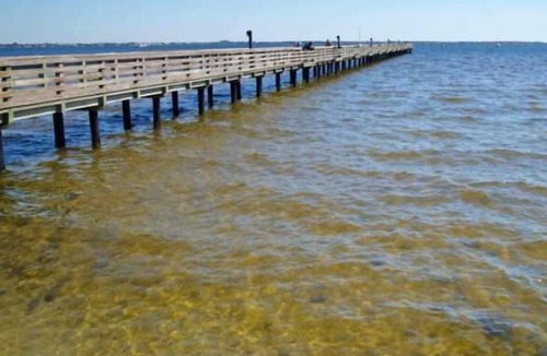Charlotte Harbor Apartment | Newly Renovated Charlotte Harbor - Sunset Inn #2