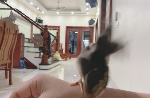 Ninh Binh Apartment | Ngoc apartment