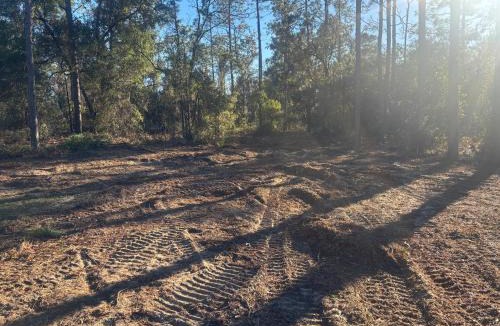 Edgar Other | Nice 4,000 sqft vacant lot perfect for camping or weekend get away will need to bring your own tent or camper