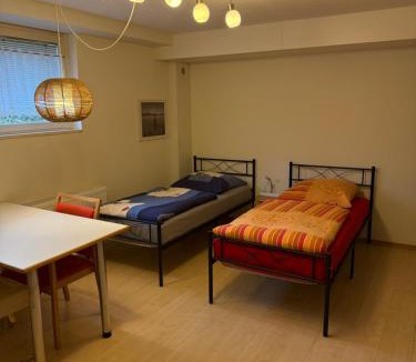 Weststadt Apartment | Nice and cosy studio apartment in a central location