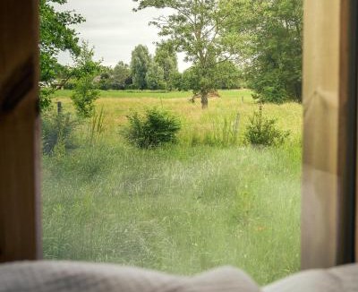 Pietrain Other | Nice and Slow : Eco-responsible tiny house
