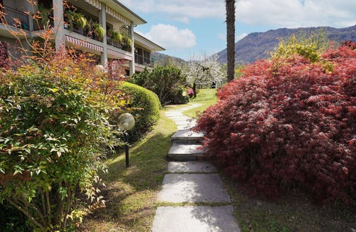 Castello Apartment | Nice apartment for 4 guests with WIFI, TV and terrace