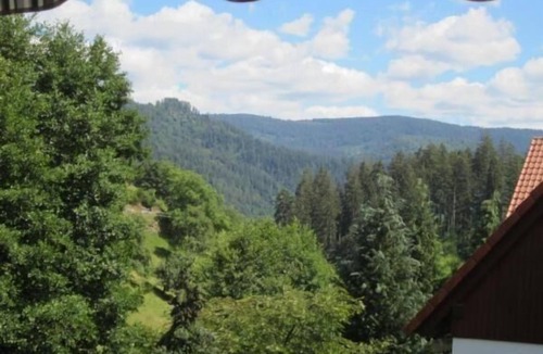 Forbach Apartment | Nice Apartment in Bermersbach and Fabulous View
