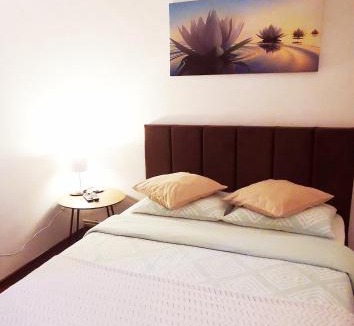 Baia Mare Apartment | Nice & economic Studio