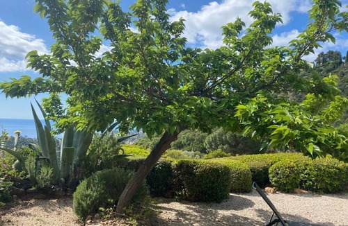 Cavalaire-sur-Mer Apartment | Nice flat 53m² air-cond garden WIFI swimmig pool tennis private pkg sea view
