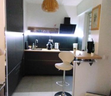 Saint Maurice Apartment | NICE- GAIRAUT - JARDIN PRIVE- GRAND F1 LUMINEUX-Piscine Collective