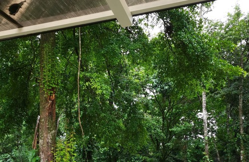 La Fortuna House | Nice house