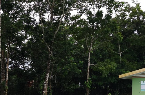 La Fortuna House | Nice house
