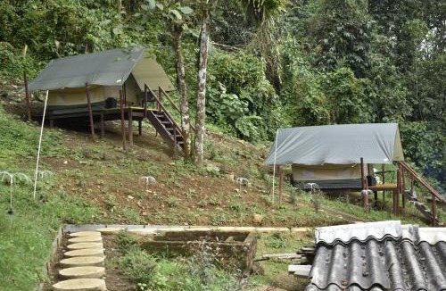 Cali Other | Nido Bag Glamping