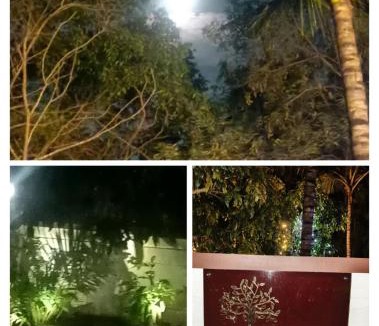 Mannarkkad House | Nihave