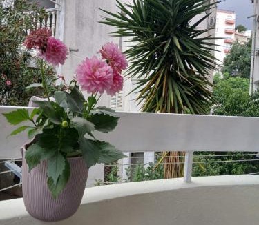 Rozino Apartment | Niki